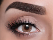 Polar Brown