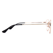 Ray Ban Premium Glasses 7161