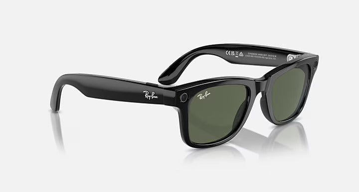 Ray-Ban Meta Wayfarer RW4008-zoom-2