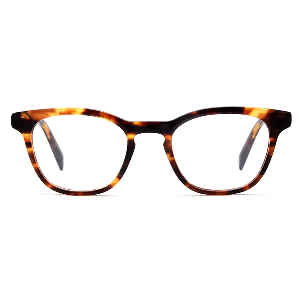 Turtle Shell Spectacle Frame