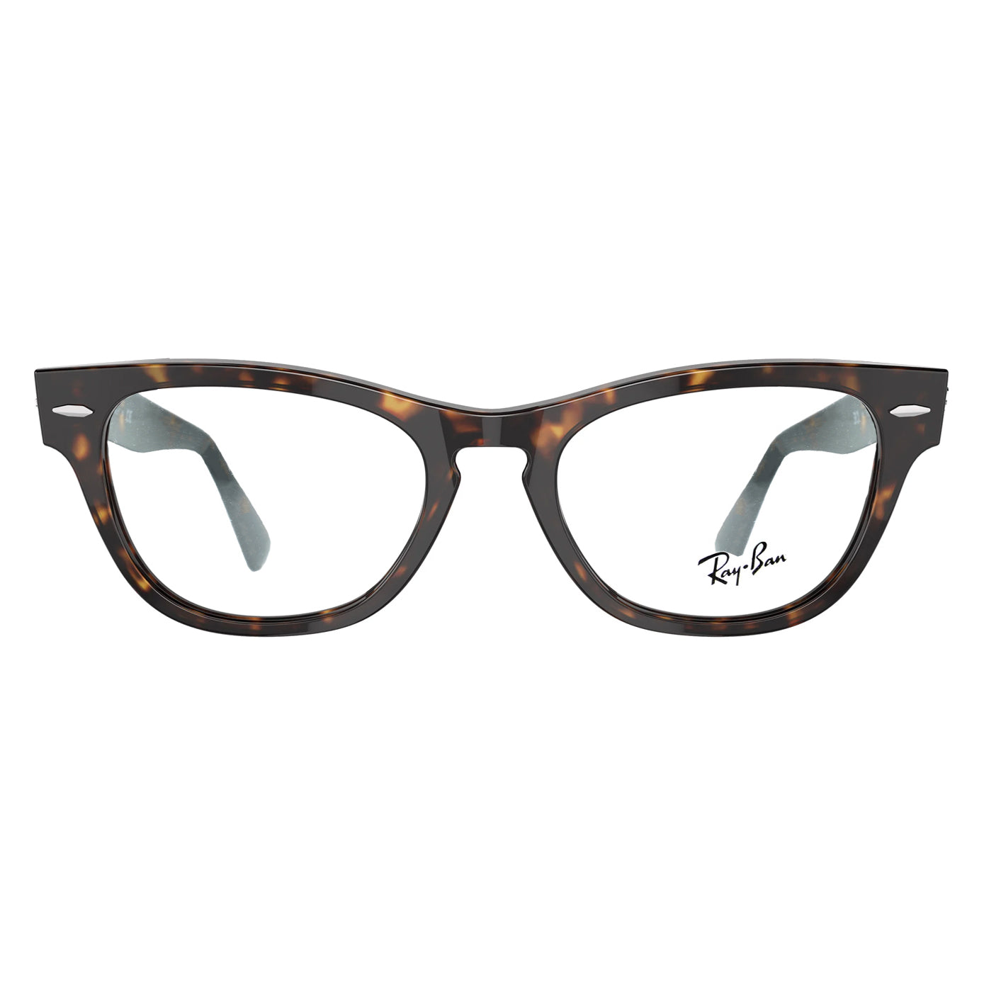 Ray Ban RB2201-V LARAMIE 2012