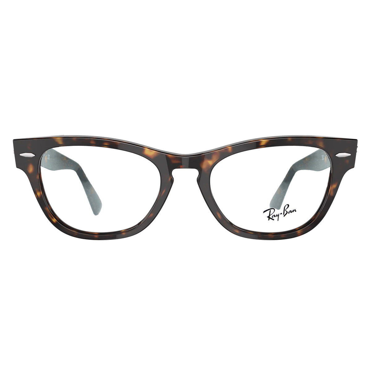Ray Ban RB2201-V LARAMIE 2012