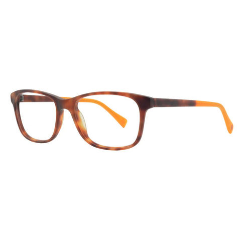 Square Glasses 117