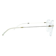 Boss Premium Glasses 9009