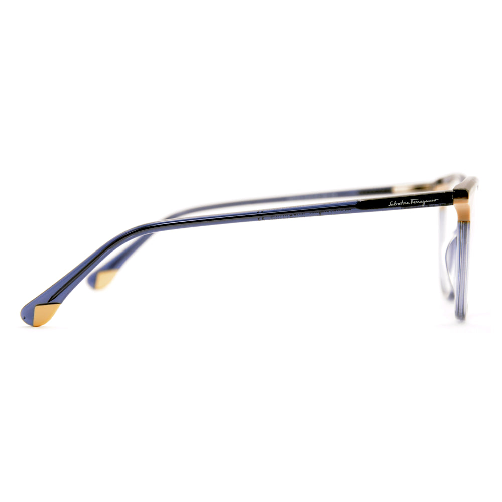 Salvatore Ferragamo Premium Glasses 6842-2