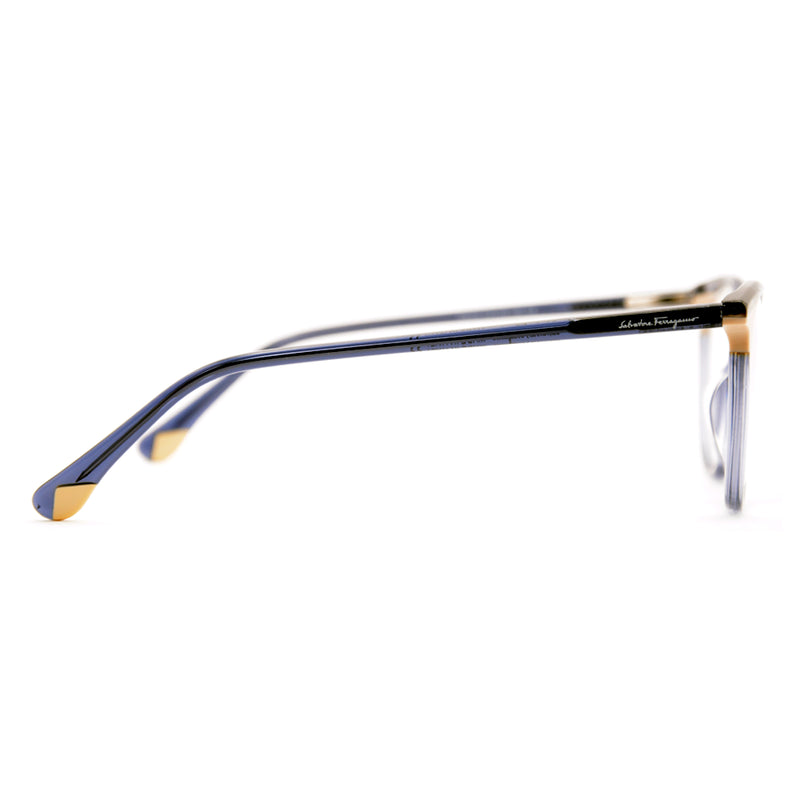 Salvatore Ferragamo Premium Glasses 6842-zoom-