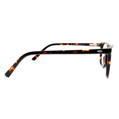 RayBan Square Glasses 9556
