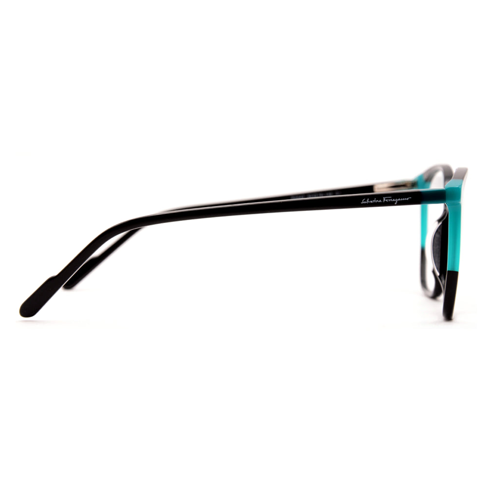 Salvatore Ferragamo Premium Glasses 6847-2