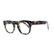 WARBY PARKER 3