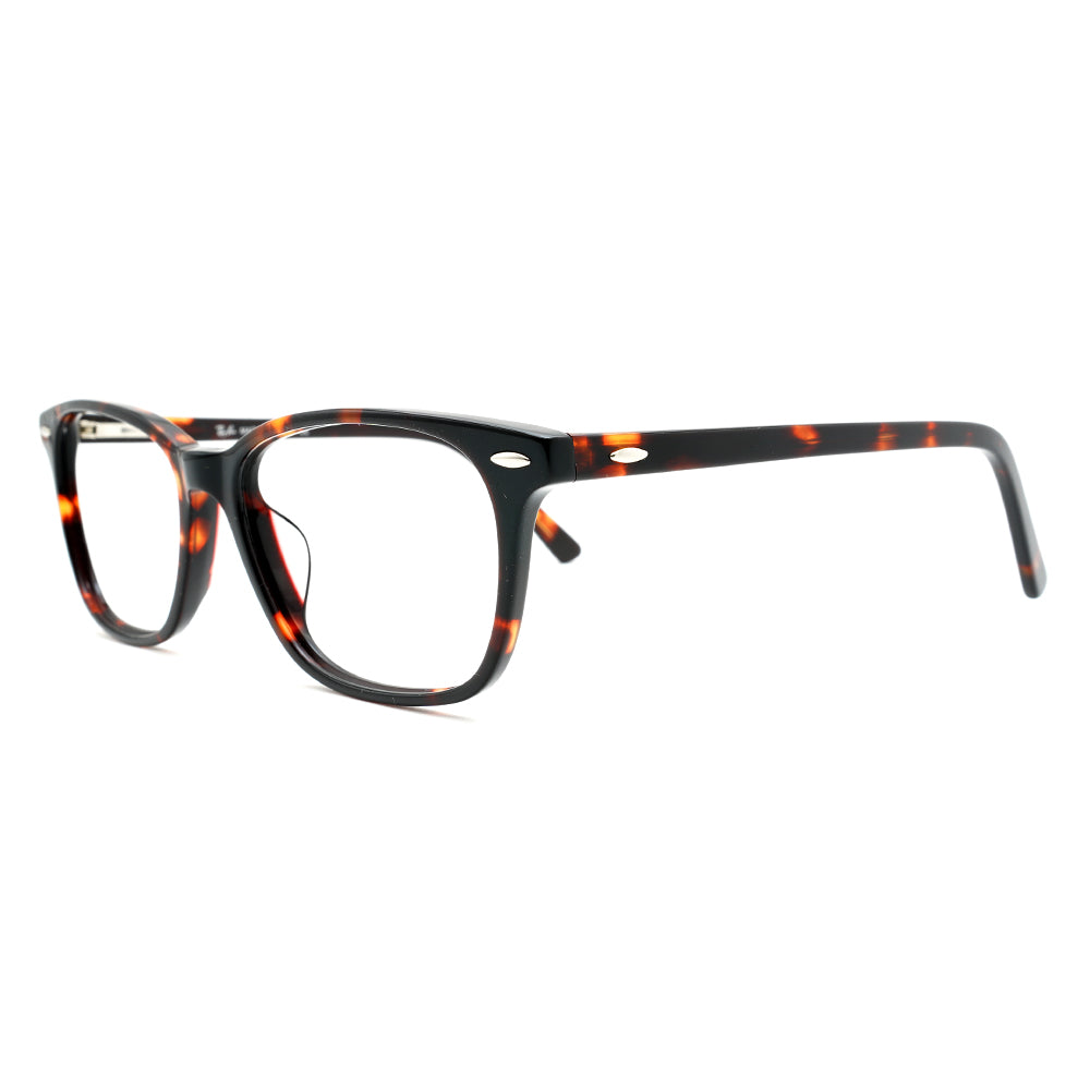 RayBan Square Glasses 9556