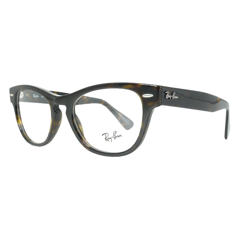 Ray Ban RB2201-V LARAMIE 2012-zoom-
