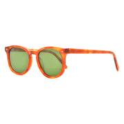 Warby Parker Toddyn 267